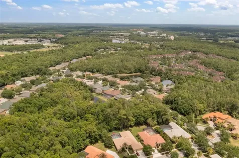 17308 Emerald Chase Drive Tampa FL 33647