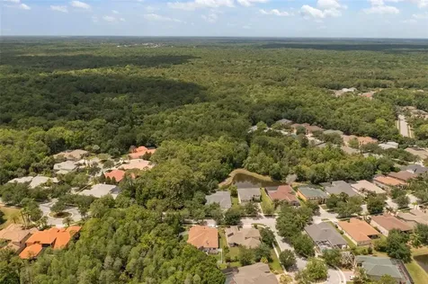 17308 Emerald Chase Drive Tampa FL 33647