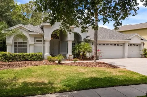 17308 Emerald Chase Drive Tampa FL 33647