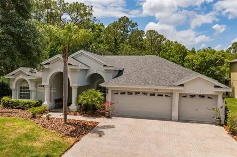 17308 Emerald Chase Drive Tampa FL 33647