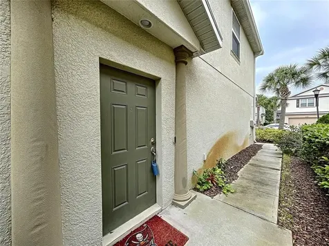 4944 White Sanderling Court Tampa FL 33619