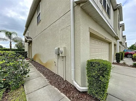 4944 White Sanderling Court Tampa FL 33619