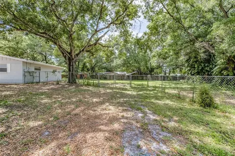 517 Winham Street Tampa FL 33619