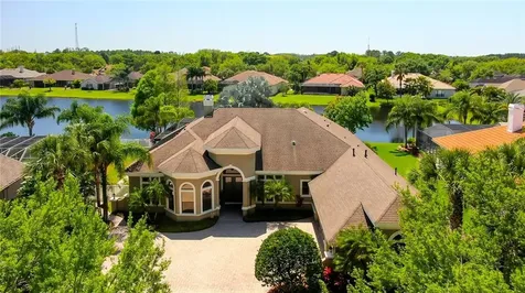 20808 Lake Vienna Drive Land O Lakes FL 34638