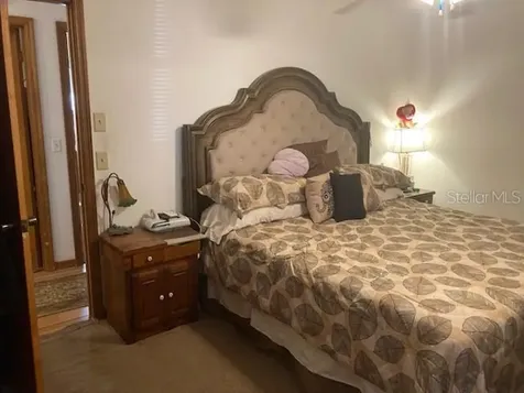 313 N Blue Lake Avenue Deland FL 32724