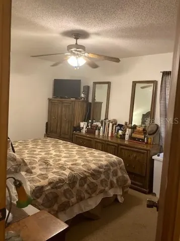 313 N Blue Lake Avenue Deland FL 32724
