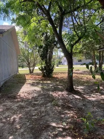 313 N Blue Lake Avenue Deland FL 32724
