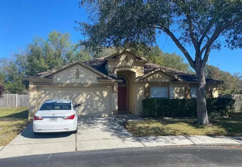 8837 Cypress Hammock Drive Tampa FL 33614