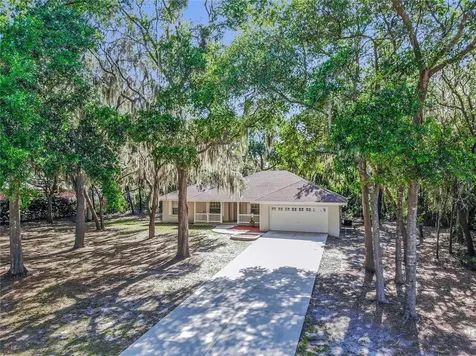 8422 Southwood Pines Street Lithia FL 33547