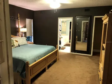 2618 Durant Oaks Drive Valrico FL 33596