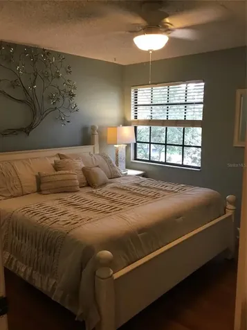 2618 Durant Oaks Drive Valrico FL 33596