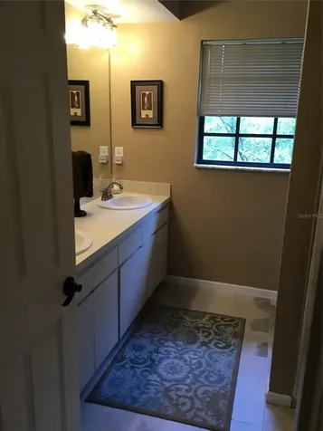 2618 Durant Oaks Drive Valrico FL 33596