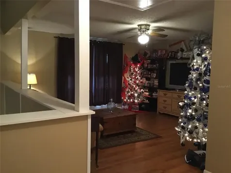 2618 Durant Oaks Drive Valrico FL 33596