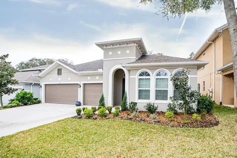 1025 Tracey Ann Loop Seffner FL 33584