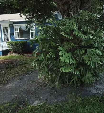 2415 Irondale Street S St Petersburg FL 33705