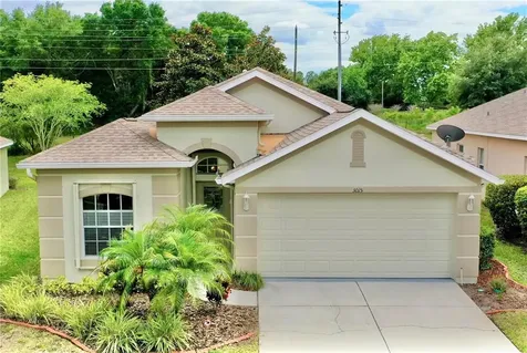 3015 Banyan Hill Lane Land O Lakes FL 34639