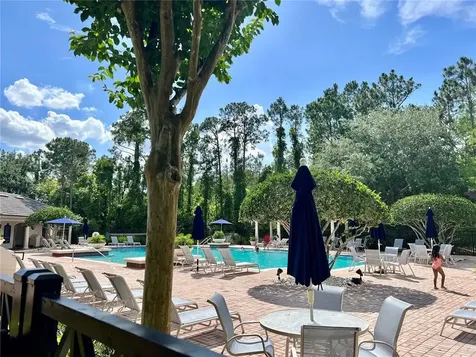 14464 Whittridge Drive Winter Garden FL 34787