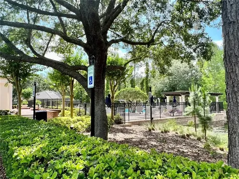 14464 Whittridge Drive Winter Garden FL 34787