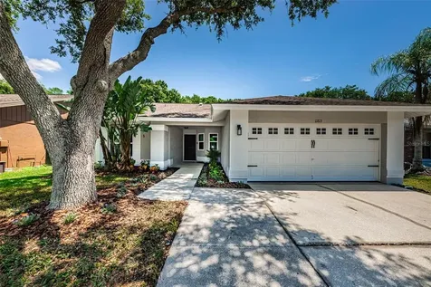 11813 Snapdragon Road Tampa FL 33635