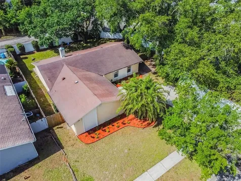 8001 La Serena Drive Tampa FL 33614