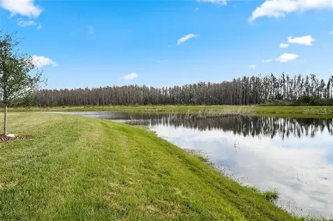 4531 Barletta Court Wesley Chapel FL 33543