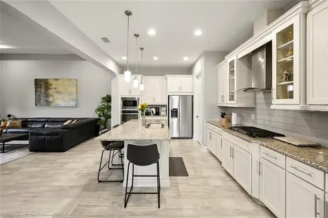 4531 Barletta Court Wesley Chapel FL 33543