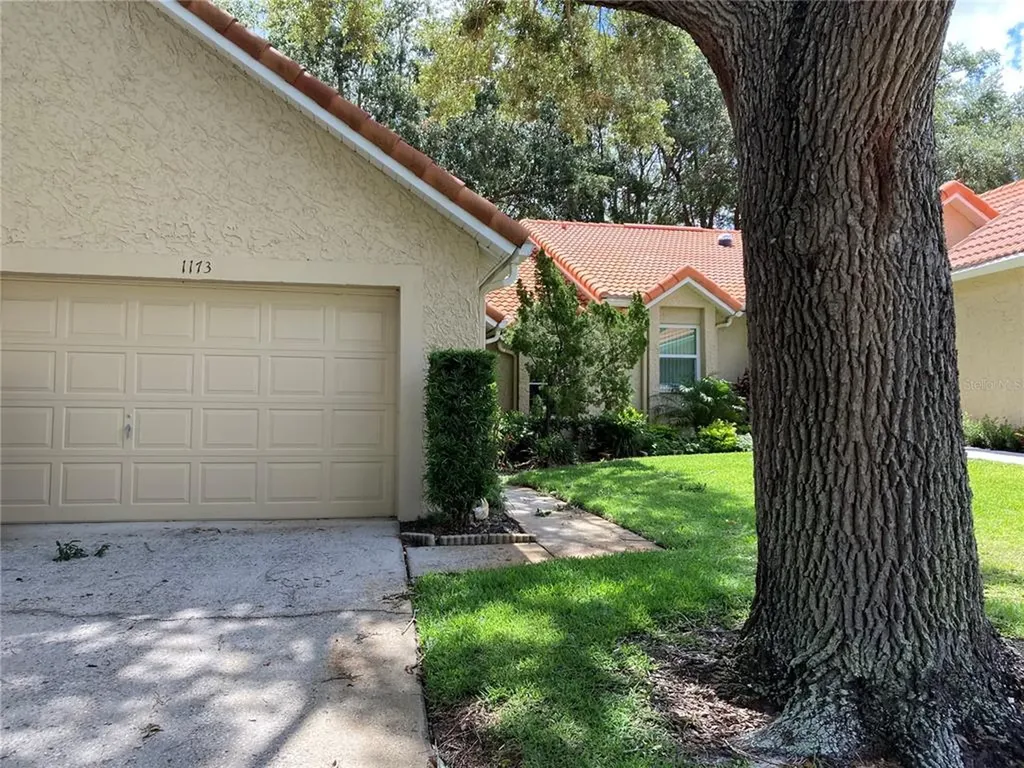 1173 Tartan Drive Palm Harbor FL 34684