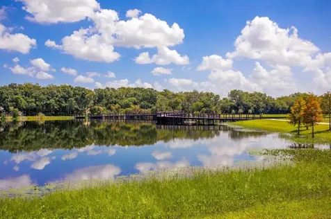 4420 Carrollwood Village Drive Tampa FL 33618