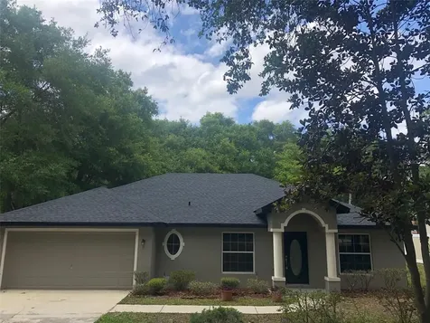 245 Birch Avenue Orange City FL 32763