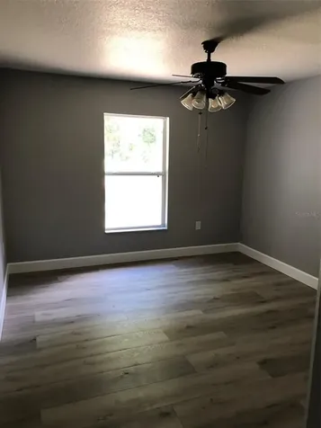 245 Birch Avenue Orange City FL 32763