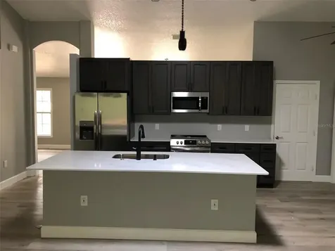 245 Birch Avenue Orange City FL 32763