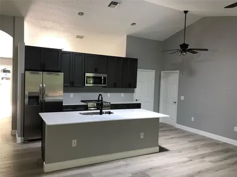 245 Birch Avenue Orange City FL 32763