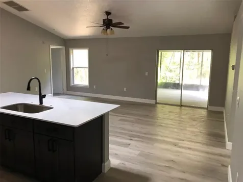 245 Birch Avenue Orange City FL 32763