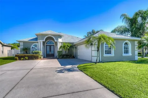 23805 Peace Pipe Court Lutz FL 33559