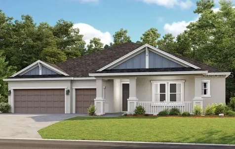 33853 Castaway Loop Wesley Chapel FL 33543