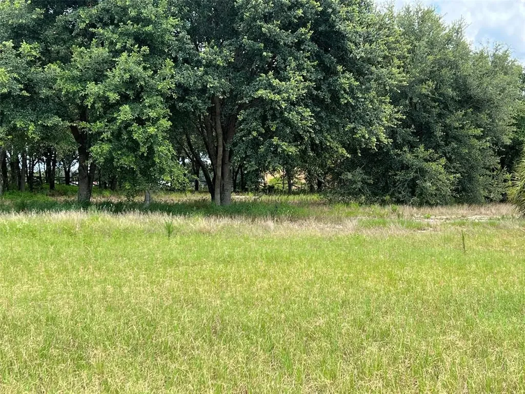 9136 Oakheart Lane Clermont FL 34711