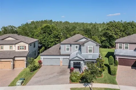 18779 Birchwood Groves Drive Lutz FL 33558