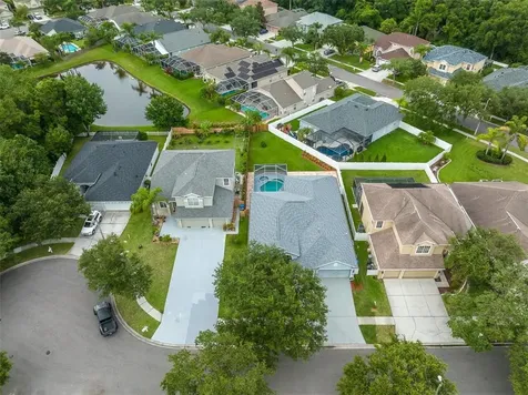 11605 Windsorton Way Tampa FL 33626