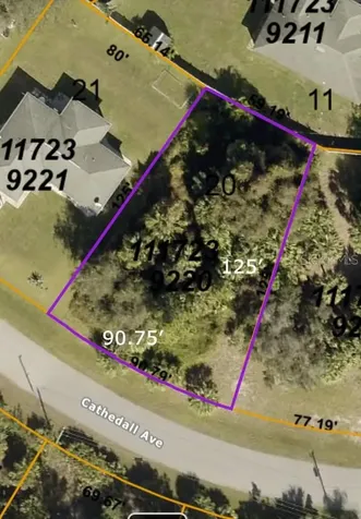 Cathedall Avenue North Port FL 34288