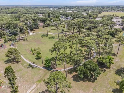 2688 Bentley Drive Palm Harbor FL 34684