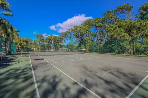 2688 Bentley Drive Palm Harbor FL 34684