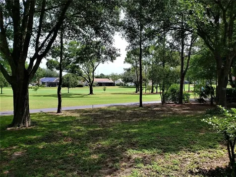 2237 Laurel Oak Drive Valrico FL 33596