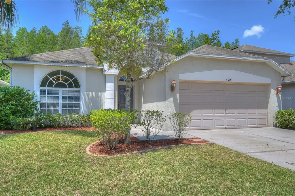 3147 Gianna Way Land O Lakes FL 34638