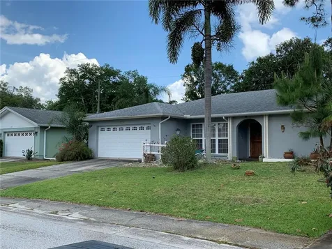 3119 Swan Lane Safety Harbor FL 34695