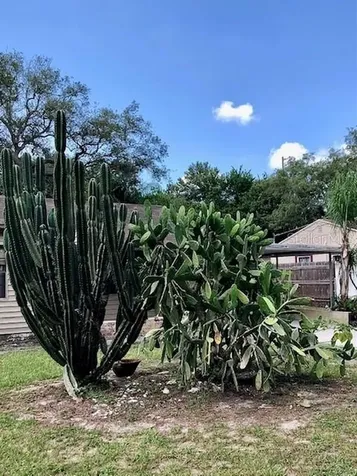 820 W Lowry Lane Tampa FL 33604