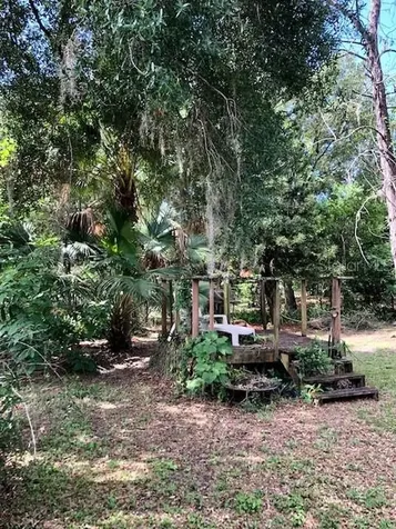 820 W Lowry Lane Tampa FL 33604