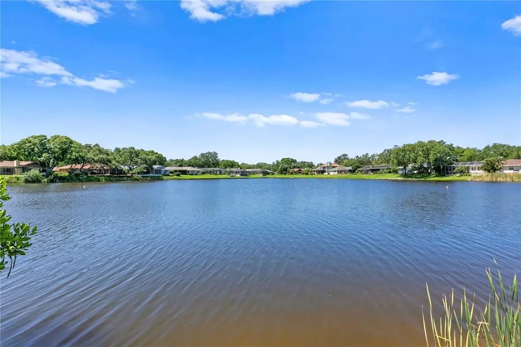 588 Tallahassee Drive NE St Petersburg FL 33702