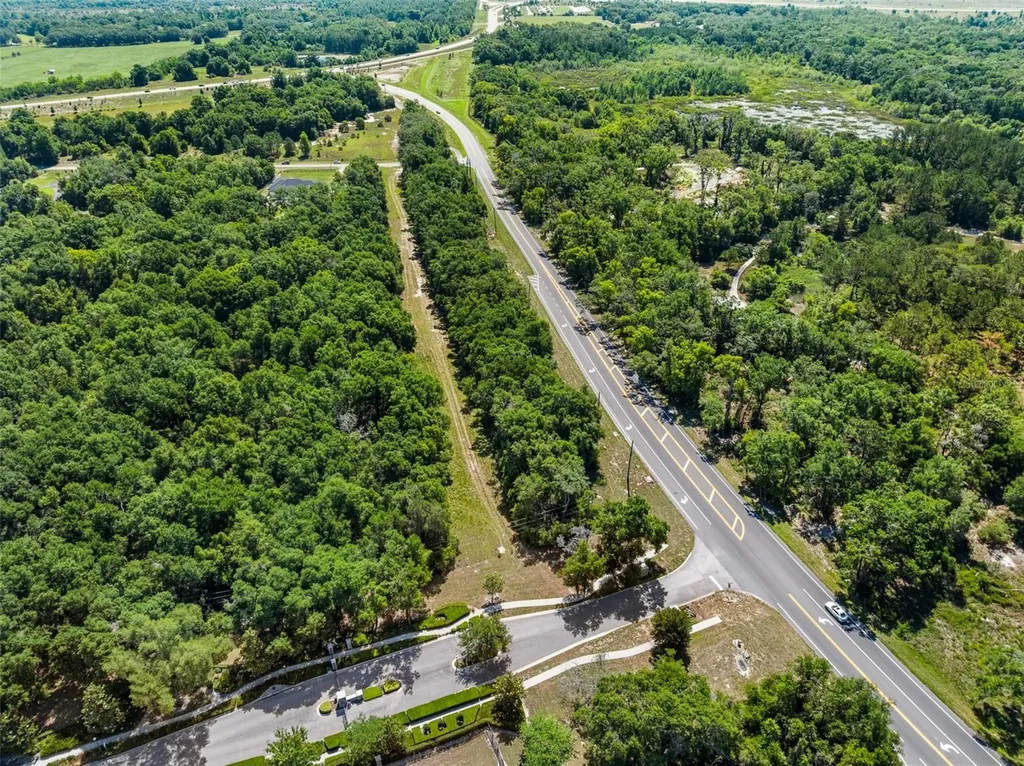 Lot 1 Hojin Street Sorrento FL 32776