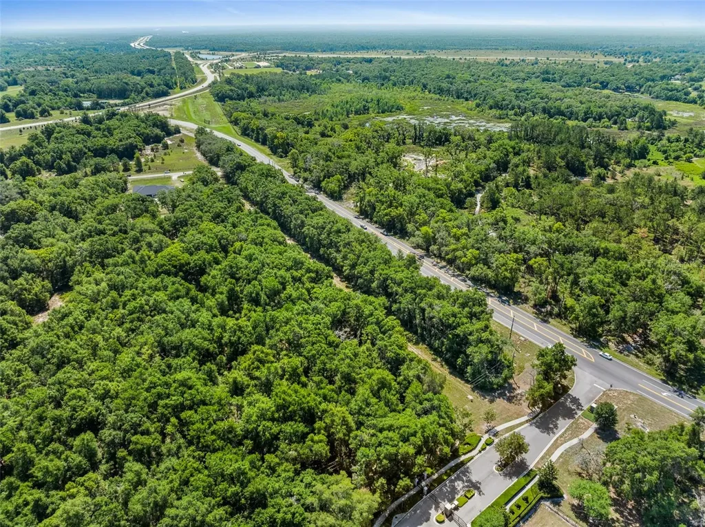 Lot 1 Hojin Street Sorrento FL 32776