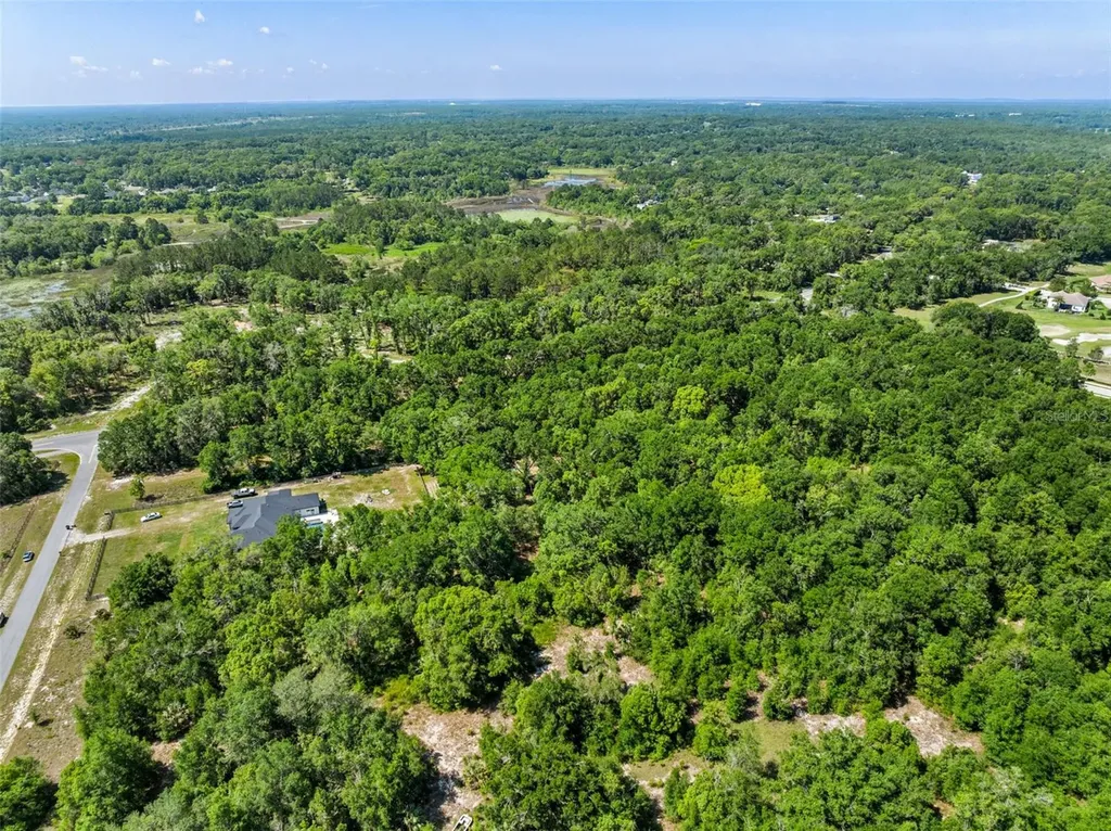 Lot 1 Hojin Street Sorrento FL 32776